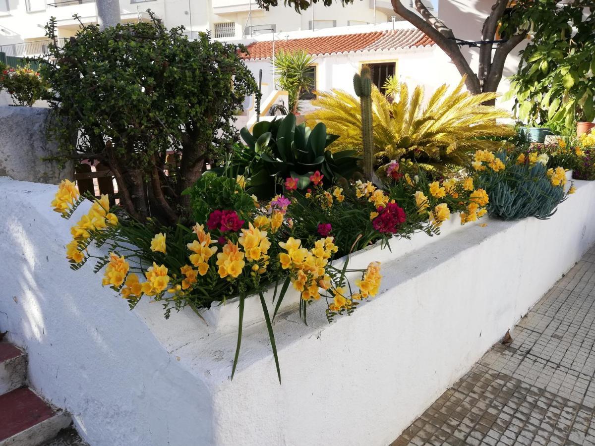Apartamentos A Cerca Lagos Exterior photo